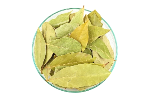 Liść Laurowy Cały